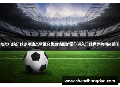 炫酷电脑足球明星动态壁纸合集激情四射带你进入足球世界的精彩瞬间
