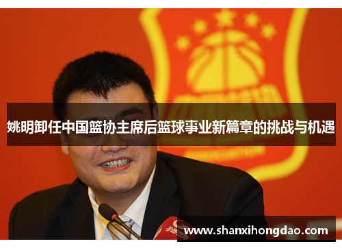 姚明卸任中国篮协主席后篮球事业新篇章的挑战与机遇
