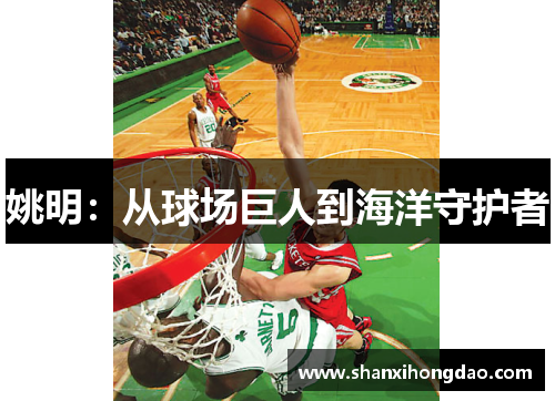 姚明：从球场巨人到海洋守护者