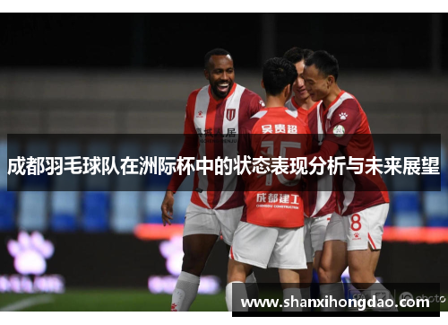 成都羽毛球队在洲际杯中的状态表现分析与未来展望