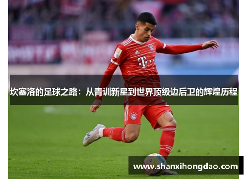 坎塞洛的足球之路：从青训新星到世界顶级边后卫的辉煌历程